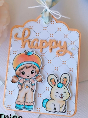 Cookie Chef 2026 New Clear Sil - огляд і ціна Clear Silicone Stamps For Card Making
